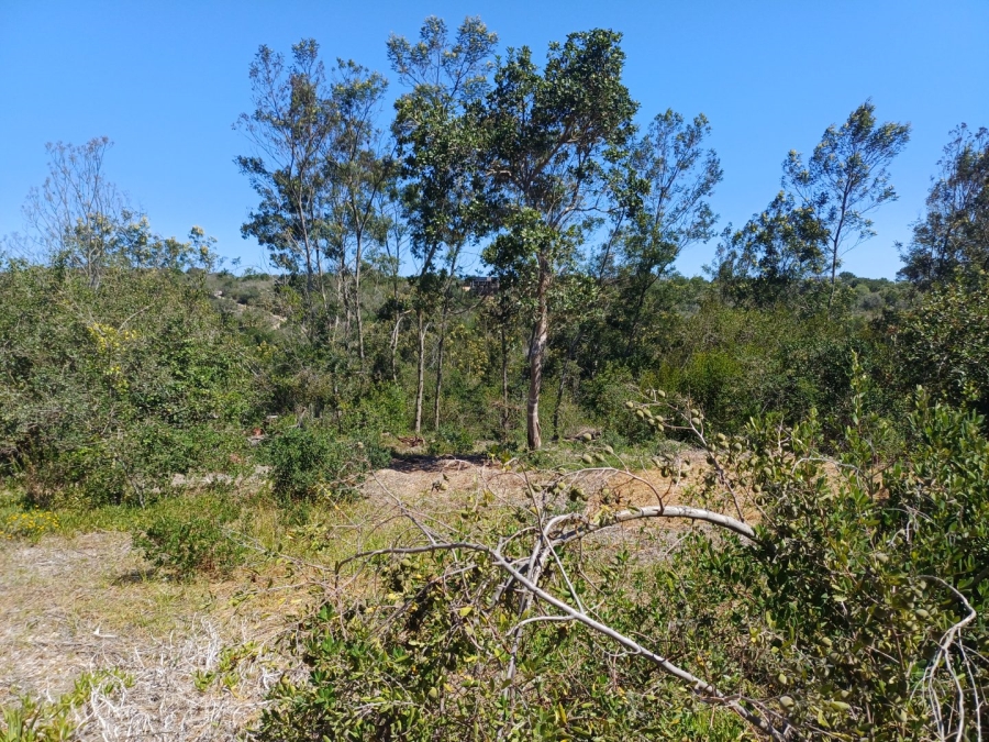 Commercial Property for Sale in Langvlei Dunes Western Cape